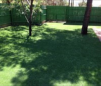 Synthetic Grass